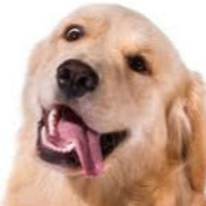 Meet your Posher, Ethan